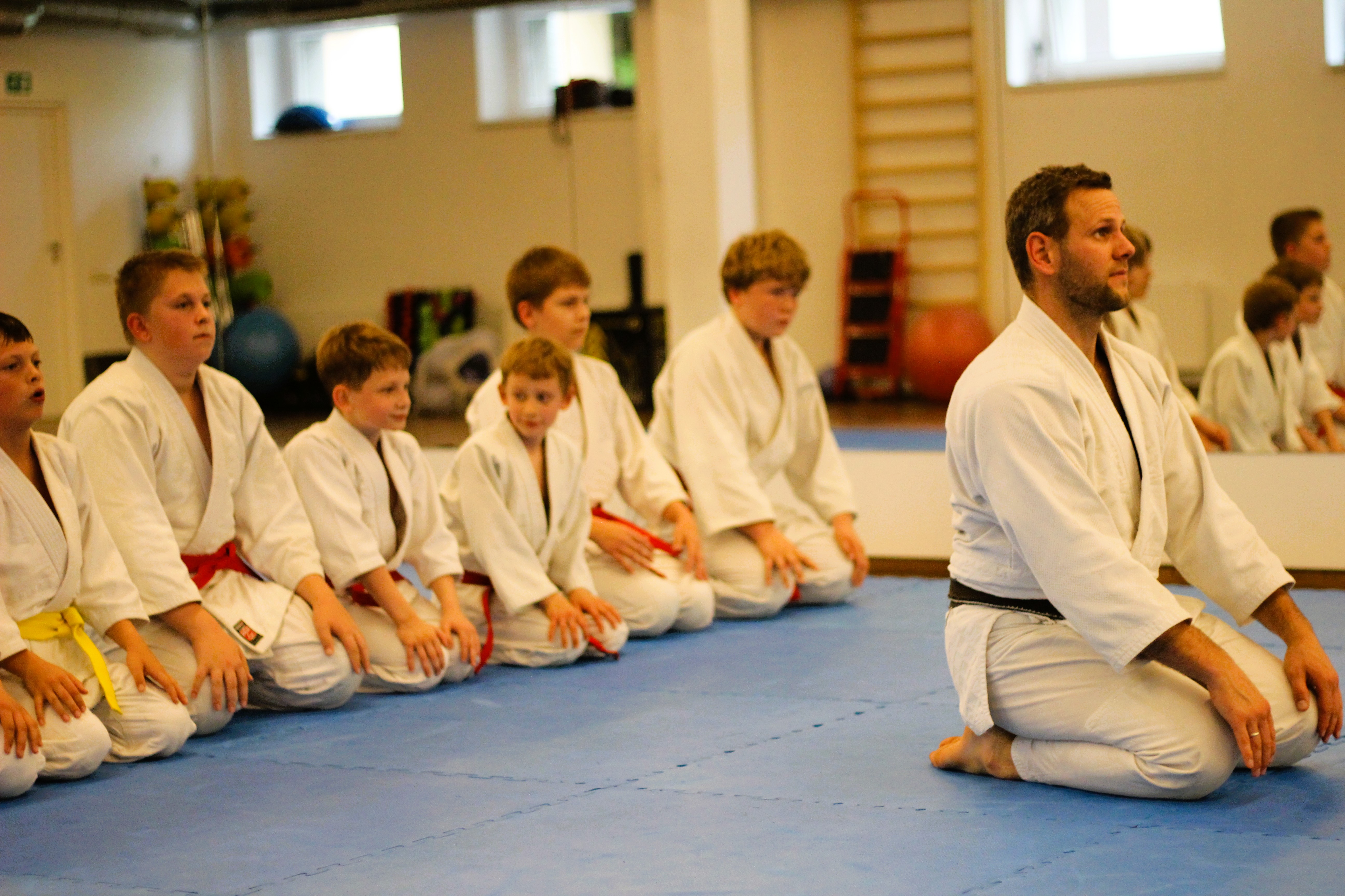 This image for Image Layouts addon